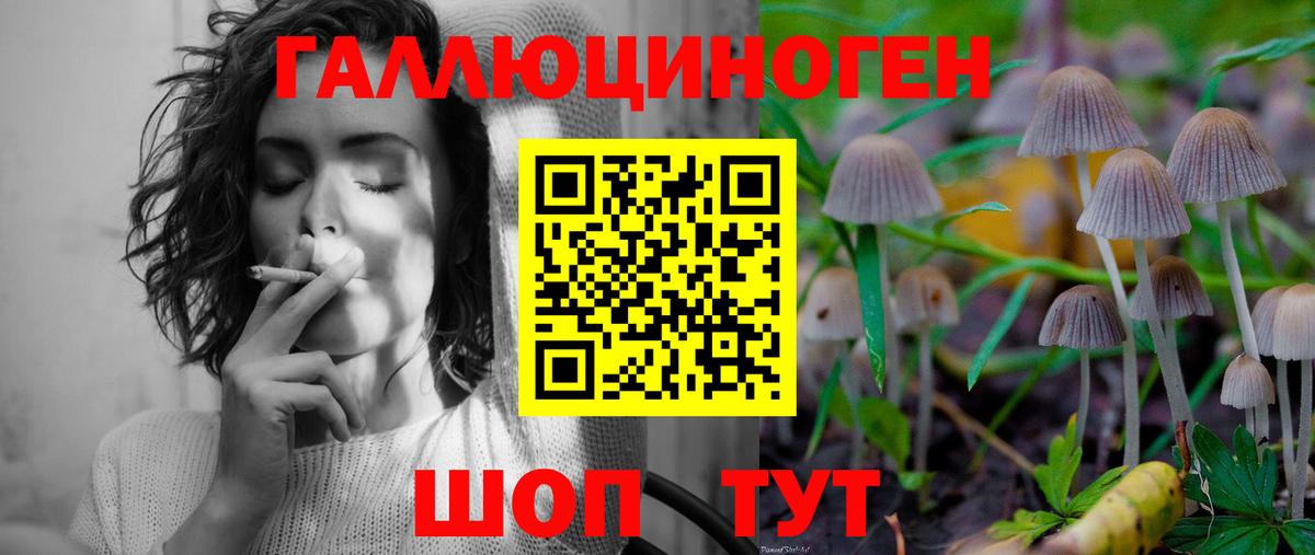Чусовой  Псилоцибиновые грибы ЛСД  Вход с VPN 